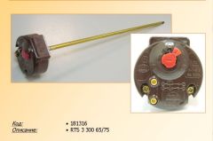 ���������  RTS3 300 65/75�C (181385, 3412042)
